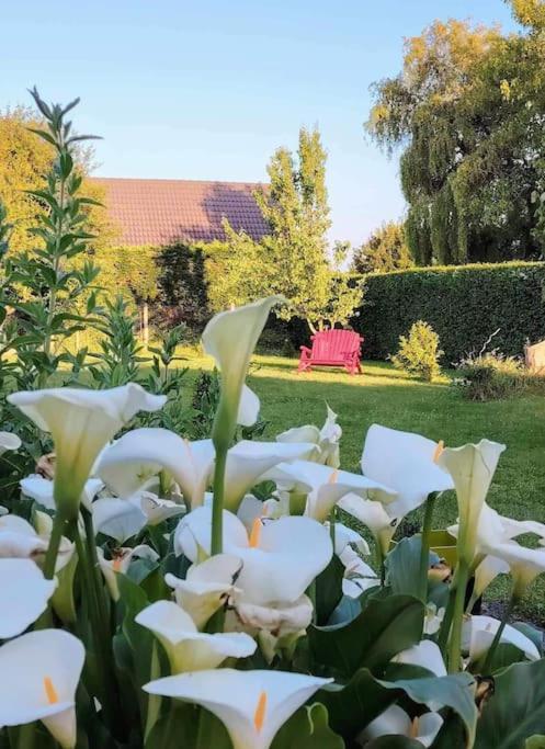 Le Jardin Des Lacs Gite Nature Et Spa Ardres Eksteriør billede